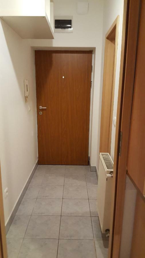 Liget Apartment, Terrace, Free Parking, Ac Будапеща Екстериор снимка